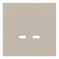 Лицевая панель для розетки USB C/C, латте (35675 LT)