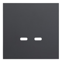 Лицевая панель для розетки USB C/C, черный сатин (35675 MB)