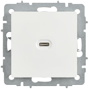 BRITE Розетка USB C 65Вт высокоскоростная зарядка РЮ12-1-БрБ белый IEK