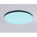 Умный светодиодный светильник с пультом 3000K-6500K+RGB 20Вт IP54 (Tuya,Smart Home,Яндекс Алиса)