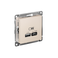 ATLASDESIGN USB РОЗЕТКА A + тип-C 45Вт высокоскор.заряд. QC, PD, механизм, БЕЖЕВЫЙ ATN000229