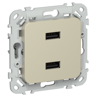 FLITE Розетка USB A+A 3,1А РЮ-2-ФлШ шампань IEK