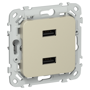 FLITE Розетка USB A+A 3,1А РЮ-2-ФлШ шампань IEK