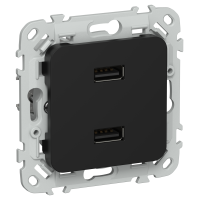 FLITE Розетка USB A+A 3,1А РЮ-2-ФлЧ черный IEK
