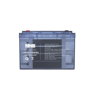Аккумуляторные батареи MNB Battery LFP-12.8-100 PRO (12.8В, 100 Ач, LiFePO4)