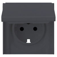 Лицевая панель для розетки 2к+з с крышкой, базальт (35634 BT)