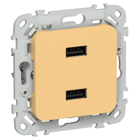 FLITE Розетка USB A+A 3,1А РЮ-2-ФлЗ золотарник IEK