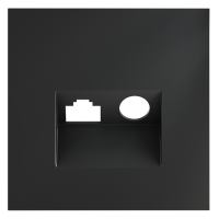 Накладка для розетки TV+RJ45 кат. 6, S70 (графит)