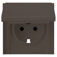 Лицевая панель для розетки 2к+з с крышкой, капучино (35634 CP)