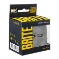 BRITE Розетка USB A+A 5В 3,1А РЮ10-1-БрС сталь IEK