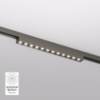 Светильник на шине Denkirs DK5771-DN