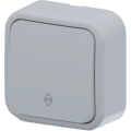 Arvia Electric, Aria, Выключатель одноклавишный проходной, IP-20 серый