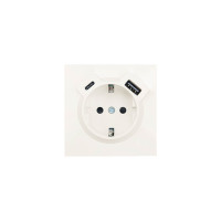 ZIMA Розетка сз TC  USB разъем слоновая кость