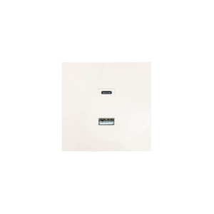 ZIMA Розетка TC+ USB разъем слоновая кость  