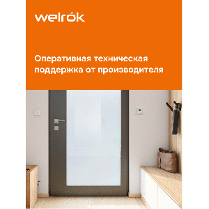 Терморегулятор для систем снеготаяния Welrok kt