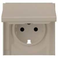 Лицевая панель для розетки 2к+з с крышкой, латте (35634 LT)