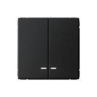 ARTGALLERY 2-клавишный ВЫКЛЮЧАТЕЛЬ с подсветкой, сх.5а, 10АХ, механизм, КАРБОН GAL001053