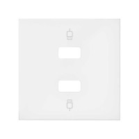 Simon 100 Белый матовый Накладка розетки 2xUSB
