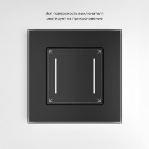 W4523008/ Умный сенсорный выключатель двухклавишный (черный)