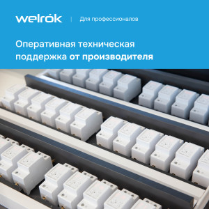 Реле напряжения Welrok D2 - 50 A - Реле напряжения Welrok D2-50