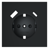 Накладка для розетки с заземлением и защитными шторками, с USB AC, S70 графит