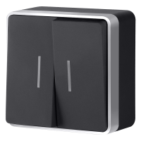 W5020134/ Выключатель двухклавишный с подсветкой Gallant (черный с серебром)