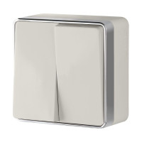 W5020003/ Выключатель двухклавишный Gallant (слоновая кость)