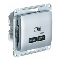 GLOSSA USB РОЗЕТКА тип-С 65Вт высокоскор.заряд. QC, PD, механизм, АЛЮМИНИЙ GSL000327