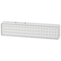 Светильник светодиодный DBA-103-0-20 60LED 5ч IP20 аварийный непостоянный Эра Б0044396