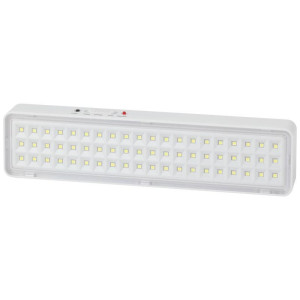 Светильник светодиодный DBA-103-0-20 60LED 5ч IP20 аварийный непостоянный Эра Б0044396