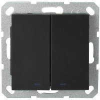 Jasmart G Черный матовый Выключатель 2-кл с подсветкой 10A 250V~ G3023NPB