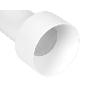 Светильник подвесной Ambrella light TN501