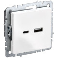 Розетка BRITE USB AC 18Вт РЮ11-1-БрБ механизм бел. IEK BR-U22-018-K01