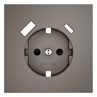 Накладка для розетки с заземлением и защитными шторками, с USB AC, S70 капучино