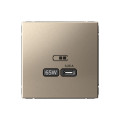 ARTGALLERY USB РОЗЕТКА тип-С 65Вт высокоскор.заряд. QC, PD, механизм, ШАМПАНЬ GAL000527