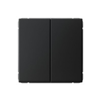 ARTGALLERY 2-клавишный ПЕРЕКЛЮЧАТЕЛЬ, сх.6/2, 10АХ, механизм, КАРБОН GAL001065