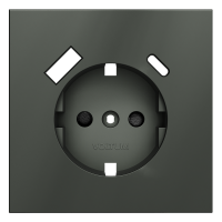 Накладка для розетки с заземлением и защитными шторками, с USB A+C, S70 (титан)