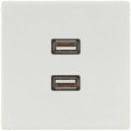 Розетка 2xUSB Jung LS 990, скрытый монтаж, светло-серый, MALS1153LG