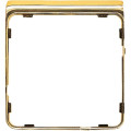Внешняя рамка Jung CD PLUS, золотой, CDP82GGO