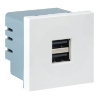 Розетка 2xUSB EKF, скрытый монтаж, белый, E2MR2-20USB-10