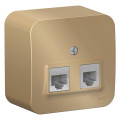 Розетка телефонная компьютерная RJ11RJ45 Schneider Electric BLANCA, скрытый монтаж, титан, BLNIA045114