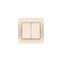 GLOSSA 2-клавишный ВЫКЛЮЧАТЕЛЬ, сх.5, 10АХ, в сборе, быстрозажим. клем., БЕЖЕВЫЙ GSL000252S