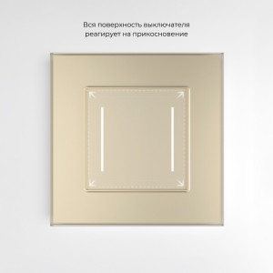 W4522011/ Сенсорный выключатель двухклавишный с подсветкой (шампань)