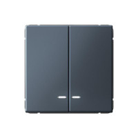 ARTGALLERY 2-клавишный ВЫКЛЮЧАТЕЛЬ с подсветкой, сх.5а, 10АХ, механизм, ГРИФЕЛЬ GAL000753