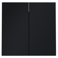 Клавиши для выключателя/переключателя двухклавишного, S70 (графит)