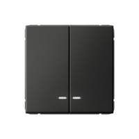 ARTGALLERY 2-клавишный ВЫКЛЮЧАТЕЛЬ с подсветкой, сх.5а, 10АХ, механизм, БАЗАЛЬТ GAL001453