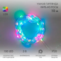 Гирлянда светодиодная смарт Роса Нить с крупными светодиодами 10м 100LED RGB IP20 USB провод прозр. Neon-Night 245-019