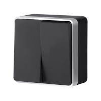 W5020034/ Выключатель двухклавишный Gallant (черный с серебром)