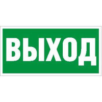 Пиктограмма Выход ПЭУ 010 130х260 СТ 2502000270