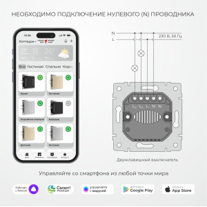 W4523006/ Умный сенсорный выключатель двухклавишный (серебряный)